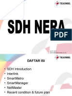 SDH NERA Overview 1