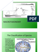 Macrotaxonomy