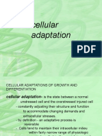 Lecture On Cellular Aberration Biology