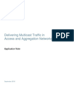 Metro Ethernet Multicast