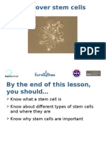 Lesson 2 - Stem Cells