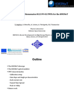 Characterization of Hamamatsu R12199-02 Pmts For The Km3Net