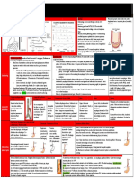 Digestive Domain Guide 1