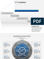 Timeline Project Planning: 12 Months