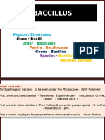 Bacillus Anthracis Powerpoint