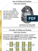 Grafting Factors