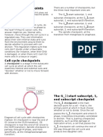 Cell Cycle Checkpoints