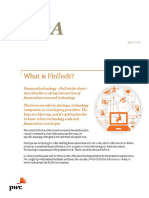 PWC Fsi What Is Fintech PDF