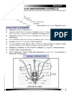 Life History of Angiosperm