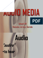 Audio (Types of Audio Media)