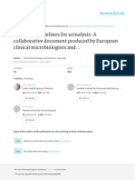 European Guidelines For Urinalysis A Collaborative