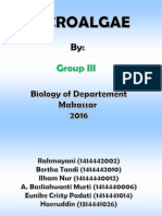 MicroAlgae Group III