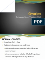 Ovaries and Ovarian Tumours