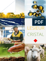 Lesieur Cristal - Consulting Project 