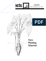 Taro Planting