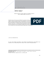 Smoke Inhalation Injury : Rogério Souza, Carlos Jardim, João Marcos Salge, Carlos Roberto Ribeiro Carvalho