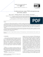 Imaging of Colorectal Adenocarcinoma Using FT-IR Microspectroscopy and Cluster Analysis