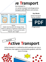 Lesson 3 - Active Transport PP