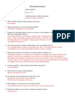 Photosynthesis Worksheet An