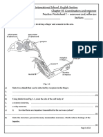 Coordination and Response - Worksheet - Grade 9