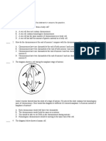 Cell Division Practice Test