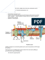 Photosynthesis: Light Dependent Reactions