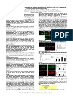 Methylcobalamin Increases Neurite Outgrowth and Neuronal Survival Through Methylation Cycle in DRG Neurons and Promotes Peripheral Nerve Regeneration