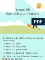 Stomach and Intestine Lesson 15