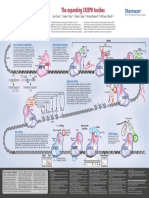 Crispr Poster Web