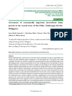 Assessment of Economically Important Invertebrate Fauna Present in The Coastal Areas of San Pablo, Zamboanga Del Sur, Philippines