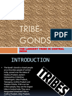 Tribe-Gonds: The Largest Tribe in Central India