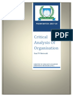 Critical Analysis of Organisation: PGDM BATCH: 2017-19