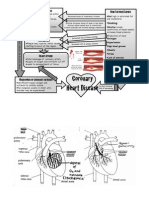 CHD Handout