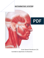 Stomatognathic System: - Enosh Steward Nirmalkumar (20) Submitted To Department of Orthodontics