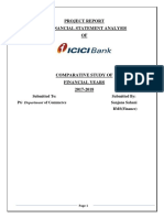 Sanjana Financial Statement Project