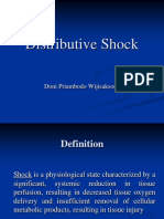 Distributive Shock