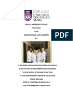 Mic125 Laboratory Report Lab 2