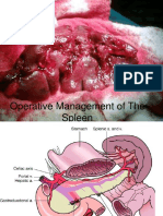 RTC Spleen Injury