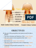 Urinary Tract Infection: Jenniferlee Dibernardo Pathophysiology Project