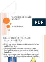 Posterior Cruciate Ligament