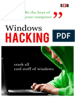 Windows Hacking