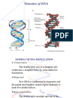 DNA Replicaiton 10012014