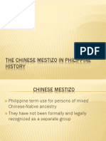 The Chinese Mestizo in Philippine History