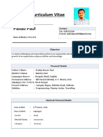 Curriculum Vitae: Pallab Paul