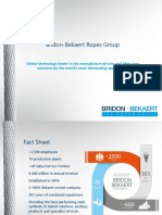 Bridon-Bekaert Ropes Group