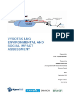 Vysotsk LNG PDF