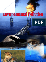 Environmental Pollution Powerpoint