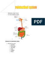 Gastrointestinal PDF