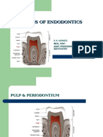 Basics of Endodontics