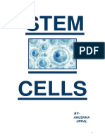 Stem Cells